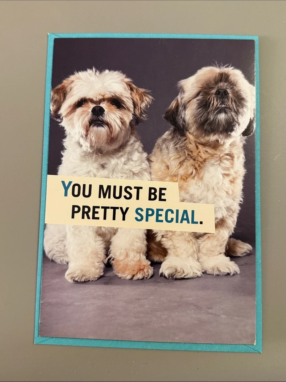 🌻 Bundle of 2 Funny Hallmark / Shoebox Birthday Cards